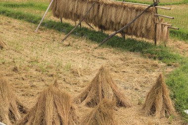 Açık alanda saman balyaları, kapayın.