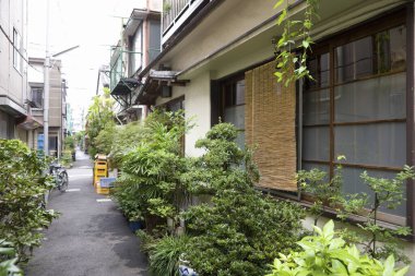 Japon köyündeki eski evlerin gündüz manzarası