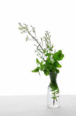 Vazoda bir buket taze çiçek, çiçek kompozisyonu 