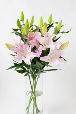 Güzel çiçekler, yakın görüş, bitki konsepti.