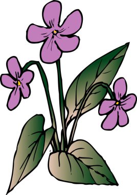 güzel çiçekler, doğa ve bitki konsepti