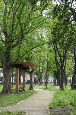 Tokyo, Japonya 'daki güzel manzaralı şehir parkı, büyüleyici bir manzara.