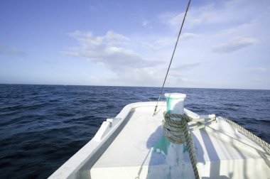 Denizde yüzen tekne doğanın arka planında