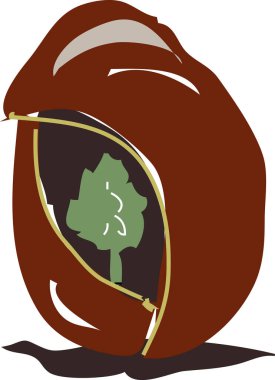 Beyaz arka planda yeşil bitki, ev çiçeğinin el yapımı çizimi.