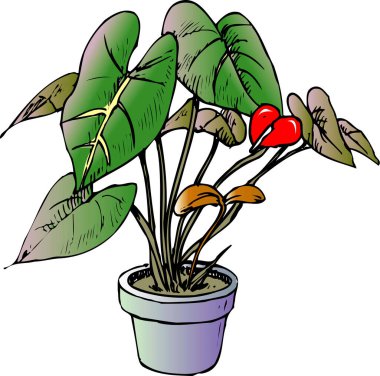 Beyaz arkaplanda el çizimi saksı çiçeği 