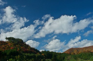 Dağlarda sonbahar ormanı ve bulutlu mavi gökyüzü olan güzel bir manzara.