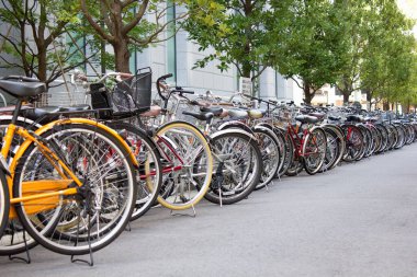 Şehir caddesinde bisikletli park yeri        