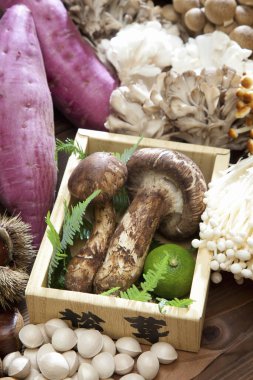 Taze mantarlar ve ahşap arka planda tatlı patatesler. sağlıklı beslenme.