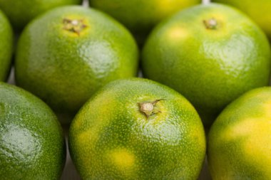 Yeşil limon. meyve arka planı. görünümü kapat