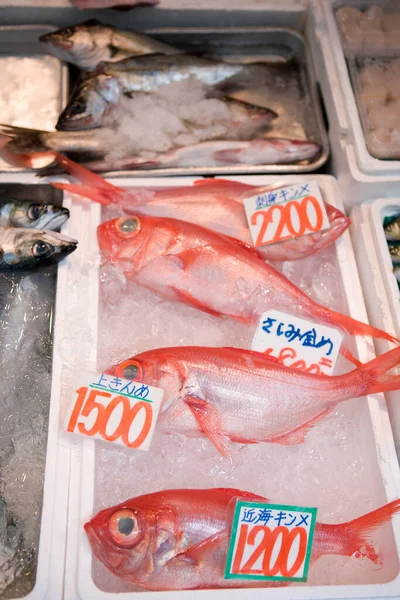 Fresh Fishes Market — Stock Photo, Image