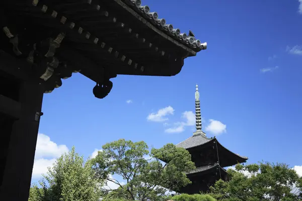 Blick Auf Den Horyu Tempel Nationalschatz Japans — Stockfoto