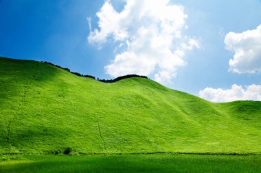 Mavi gökyüzü arka plan ile yeşil alan 