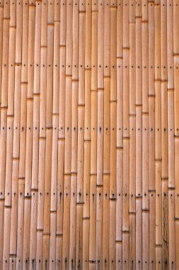 Bambu duvar dokusu arkaplanı, kapat