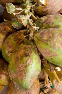 Pazarda taze hindistan cevizi meyvesi yığını