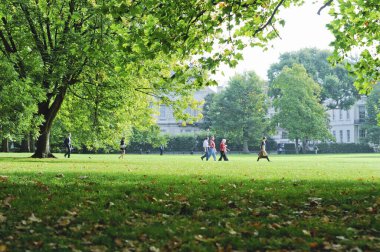 Yeşil ağaçlı yaz parkı manzarası