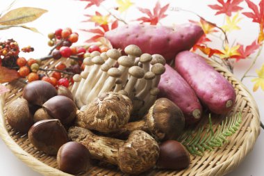 Matsutake mantarları, kestaneler, tatlı patatesler...