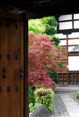 Renkli bitkiler ve taşlarla bahçeye açılan ahşap kapı.