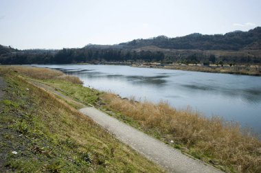 Ağaçlı güzel nehir manzarası 
