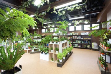 Bitki yetiştirme ya da çiçekçilik için güzel bir yer