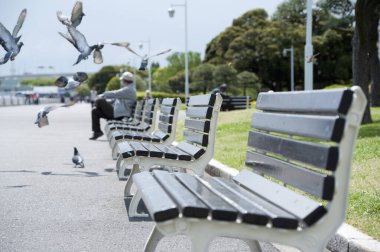 Yaz günü parkta boş banklar.