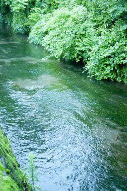 Doğadaki nehrin güzel manzarası