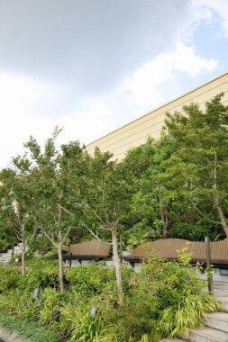 Tokyo-Japonya 'daki Kukuan parkındaki bahçe..