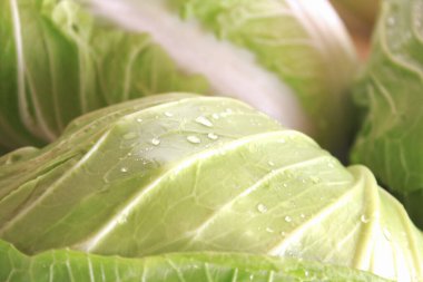 taze yeşil lahana yaprakları yakın çekim