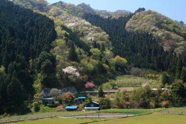 Dağların manzarası. 