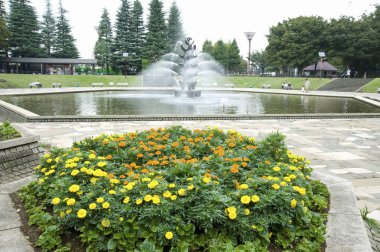 Japon bahçesi. Setagaya Parkı