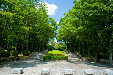 Parkta yeşil ağaçlarla çevrili taş merdivenler.