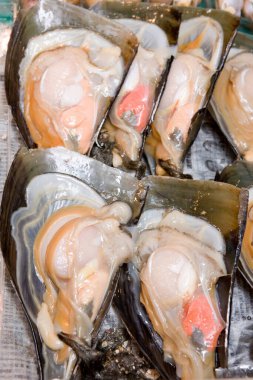 Piyasada yeni açılan istiridyeler