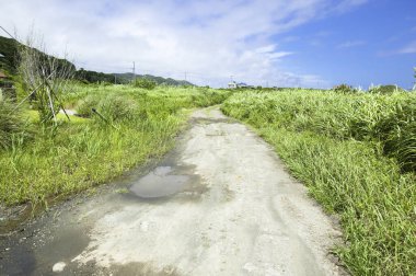 Yeşil alan üzerinden Kir yol