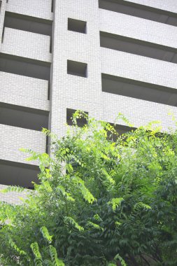 Bilbao civarında bir bina.