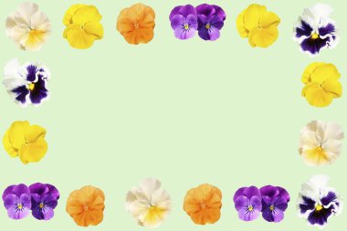 Çiçekli yaz çiçekleri