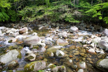 Taşların arasından akan güzel nehirler.       