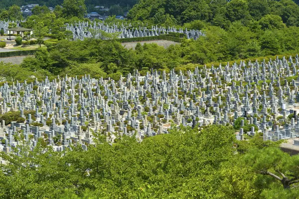 Schöner Alter Friedhof Mit Gräbern Sommer Japan — Stockfoto