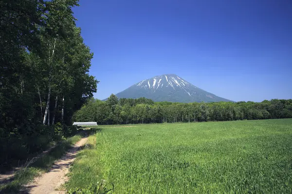 富士山の美しい景色 風景の背景 — ストック写真