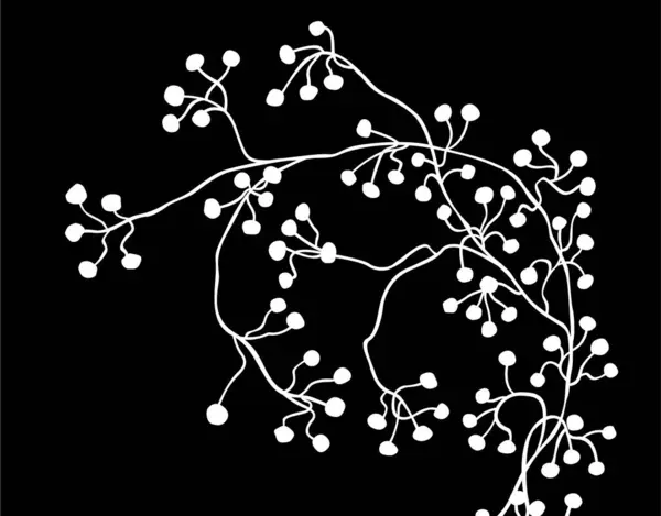 white branch with berries on black background