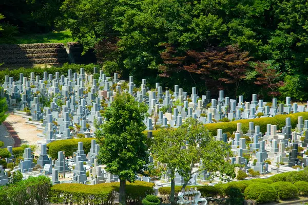 Красивое Старое Кладбище Гробницами Летом Японии — стоковое фото