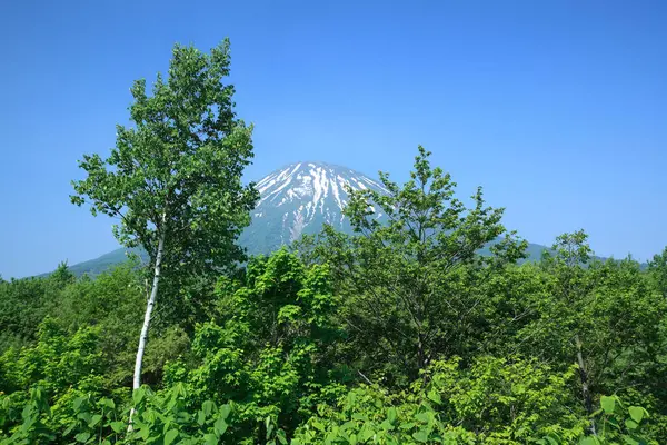 夏の富士山の美しい景色 — ストック写真