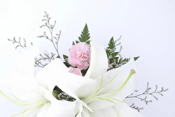 Lírio Branco Flores Rosa Fundo Branco — Fotografia de Stock