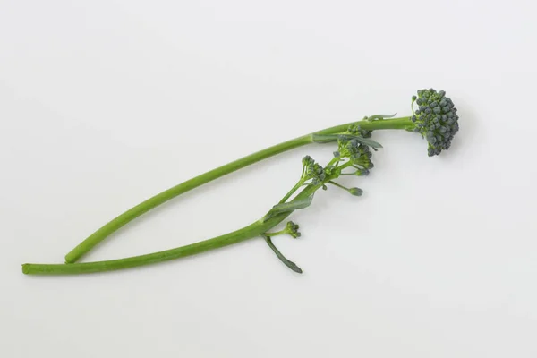 Beyaz Arkaplanda Yeşil Brokoli — Stok fotoğraf