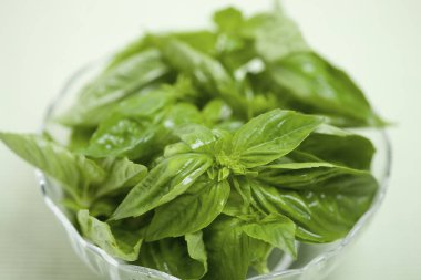 Kasede taze fesleğen yaprakları, yakın görüş.