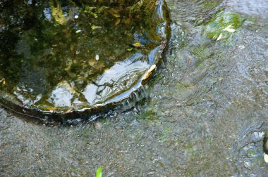 Kayaların üzerinden akan su derede dalgalanmalar yaratır.