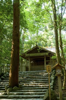 Japonya 'da yeşil ağaçlı güzel bir Japon evi.