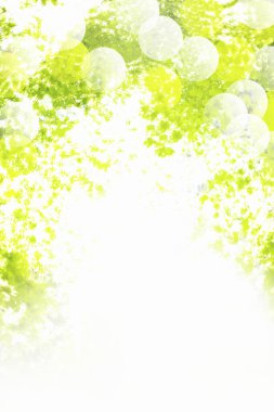 Bokeh ışıkları olan yeşil yapraklar