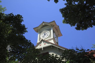 Yeşil ağaçlardaki eski saat kulesi 