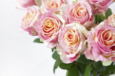 bir tablo üzerinde güzel taze gül