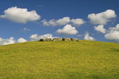 yeşil alan ve mavi gökyüzü arka planında bir sürü çimen ve bir sürü taş var..