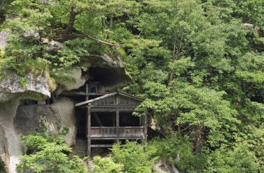 Yeşil orman ve ahşap evin güzel manzarası. 